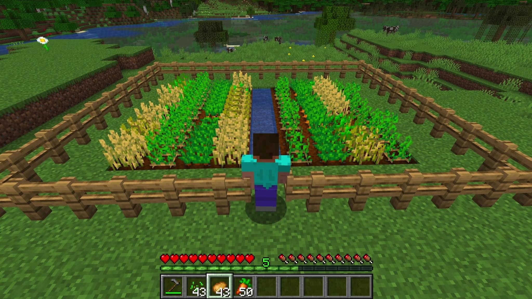 How to Grow a Crop in Minecraft DIY